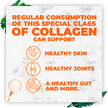 Load image into Gallery viewer, Collagen Peptides | Best Skin Rejuvenating Collagen